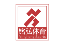 湖南铭弘体育产业股份有限公司(股票代码：839446)